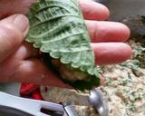 母直伝！えごまの挟み揚げ★大葉でも良し♪作り方6写真
