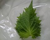 薄切り冷凍豆腐と青じそ巻き と梅入り作り方4写真