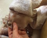 韓国風きゅうりといかの酢の物作り方4写真