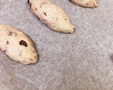 HB＊クランベリーのライ麦パン＊作り方11写真