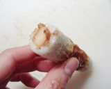 食感が楽しい♪たけのこ&ちくわ☆作り方5写真