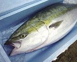 ★常備食！アラ簡単★作り方1写真