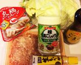 簡単 ズボラな鶏団子 鍋 夏用あっさり系作り方1写真