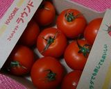フレッシュ☆トマト丼作り方4写真