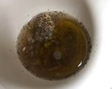 紫玉キャベツチアシードのマスタードマリネ作り方2写真