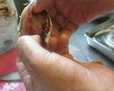 片口鰯でアンチョビとアンチョビ燻製作り方10写真