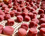 そうだ、梅干し作ろう！作り方31写真
