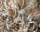 とうもろこし ひげ＆皮でお茶作り方3写真