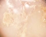 お刺身イワシで☆鰹節つみれ＊ミョウガ揚げ作り方13写真
