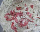 春☆桜☆パン♪《桜花と葉パウダー入り》作り方3写真