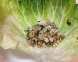 ヘルシー＊昆布だしのツナロールキャベツ＊作り方6写真