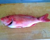 【釣食】オジサンの天ぷら作り方2写真