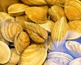 リトルネッククラムボンゴレスパゲッティ—作り方1写真