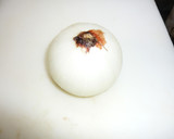 【下ごしらえ】簡単玉ねぎのみじん切り作り方1写真