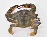 かにの味噌汁作り方1写真