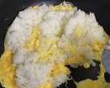 野沢菜ちりめん炒飯作り方2写真