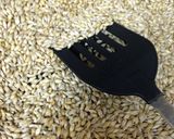 自家製★丸粒六条大麦で作る金色麦茶♪作り方1写真