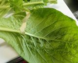 小松菜やほうれん草など葉物の保存方法作り方4写真