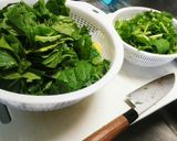 小松菜やほうれん草など葉物の保存方法作り方9写真