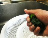 小松菜やほうれん草など葉物の保存方法作り方13写真
