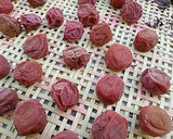 母直伝！お湯をかける 梅干しの作り方作り方26写真