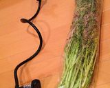からし菜のローフード副菜★ニンニク和え作り方1写真