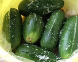 奈良漬けの作り方(1回目の塩漬け工程)作り方8写真