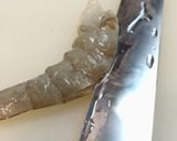 海老チリ 〜辛さと玉ねぎの旨味作り方11写真