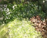 行者にんにく入り☆にらまんじゅう作り方5写真