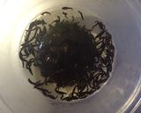 １０分で簡単♪ひじき入り玉子焼き作り方1写真