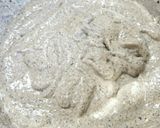 手づかみ食べに。豆腐のふわふわスティック作り方6写真