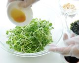 豆苗と韓国海苔のシャキうまサラダ作り方2写真