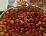 基本梅干しの作り方作り方13写真