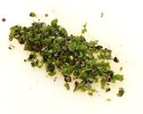 涼風担々麺 〜冷たくてもピリピリさっ作り方5写真