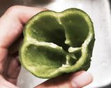 シンプルで簡単☆煮ちゃうピーマンの肉詰め作り方1写真