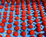 初めての梅干し（七折小梅）作り方12写真