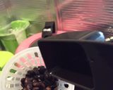 コーヒー焼酎お手軽作り方5写真