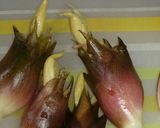 ミョウガとミョウガの花の即席漬け（超速）作り方3写真