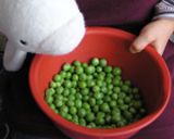 子供も喜ぶグリーンピースご飯♪作り方1写真