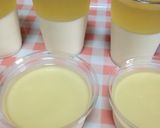 蜂蜜ゼリーとヨーグルトのムース作り方8写真