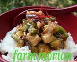 農園レシピ・マーボ豆腐&ナス♪作り方10写真