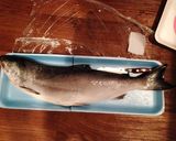 サーモンの醤油漬け♡+魚の捌き方♪作り方1写真