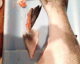 サーモンの醤油漬け♡+魚の捌き方♪作り方6写真