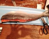 サーモンの醤油漬け♡+魚の捌き方♪作り方9写真