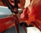 サーモンの醤油漬け♡+魚の捌き方♪作り方12写真