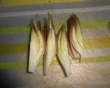 みょうがの梅しそ巻き揚げ作り方1写真