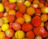 トマト大量消費 ミニトマトコンソメ漬け作り方3写真