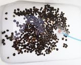 シジミ海苔塩ラーメンσ(^_^;)作り方2写真