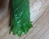 簡単なすの浅漬け作り方4写真