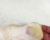 初心者さんでも大丈夫♡基本の手ごねパン作り方13写真